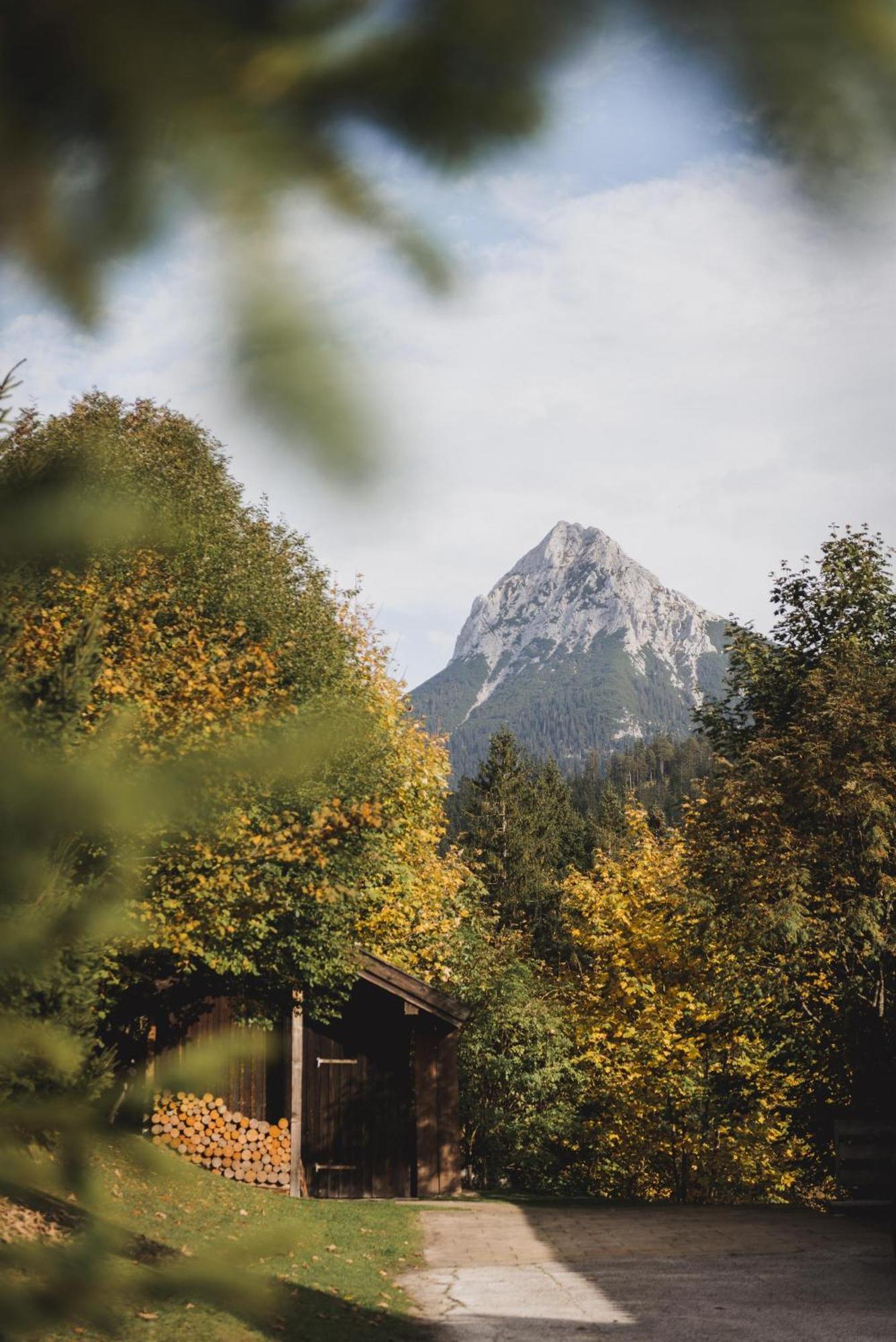 Ferienwohnung Waldgarten Leiten Esterno foto